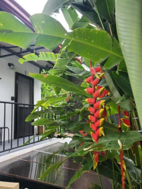 1Cozy, Smart TV 45-Netflix, Parking, BaguioFeels